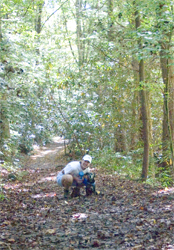 Hiking in Gatlinburg, TN.