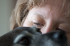 Working hard for dogs everywhere.