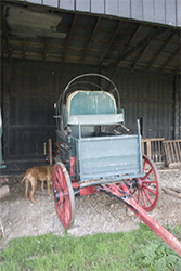 You can find the BEST STUFF to roll in at a horse park.