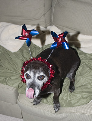 Sure, I'll wear your funny hat... For a price!