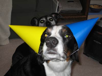 If you end up at a party with hats, get somebody else to wear your hat.